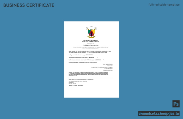 Kamerunische Registrierungsurkunde – Beispielansicht in Word und PDF